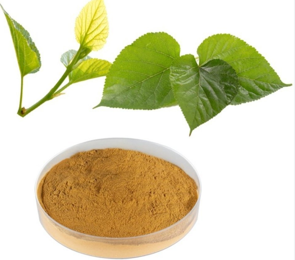 wholesale mulberry leaf extract powder.png